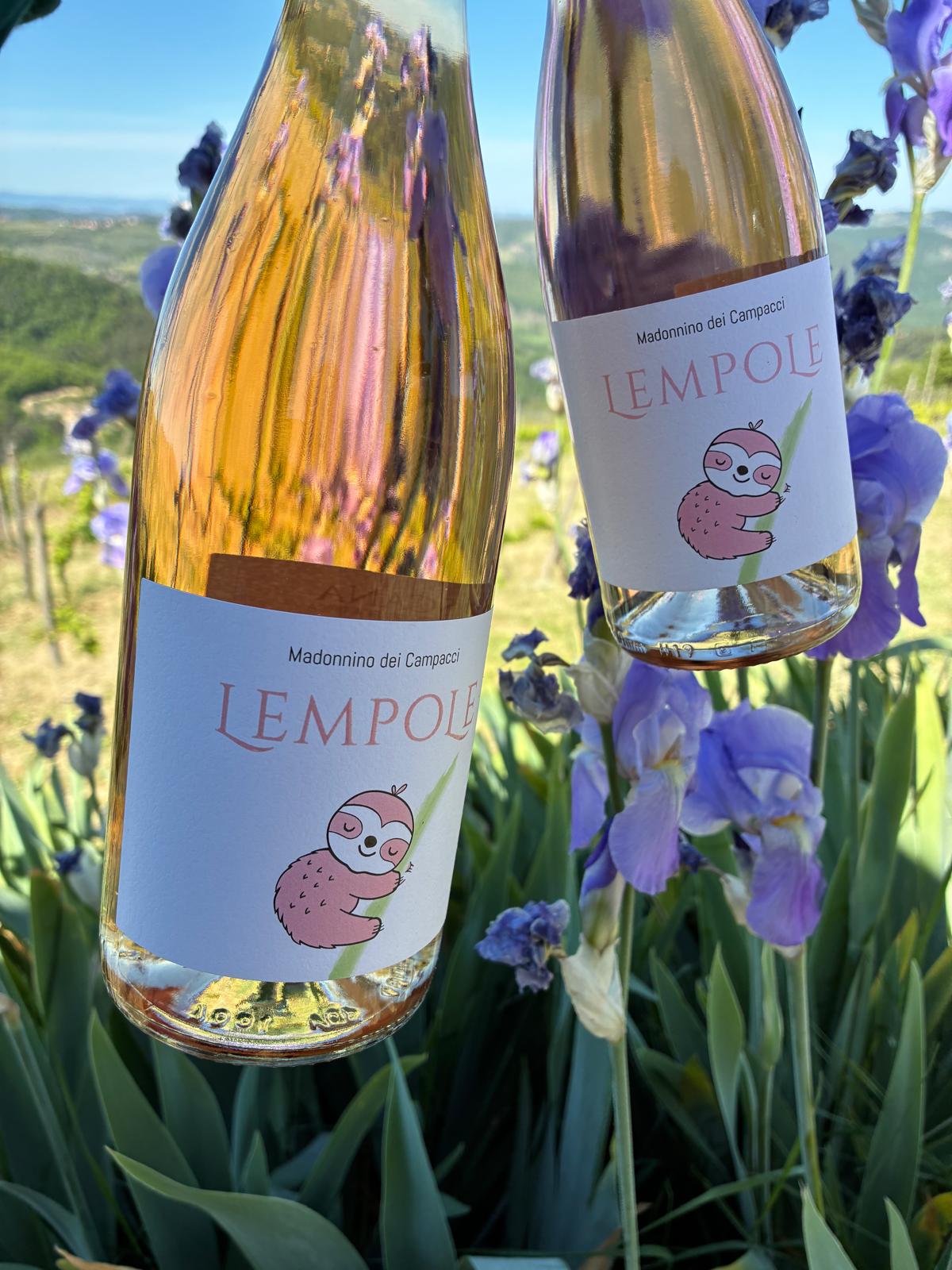 Bottiglie Lempole tra iris viola in vigna